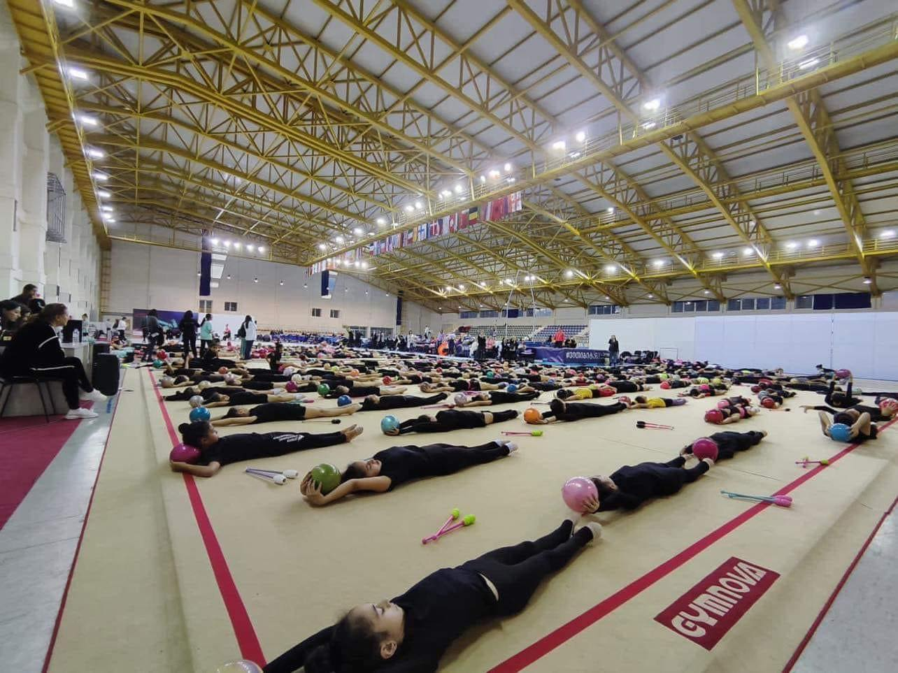  ტანვარჯიშის არენა